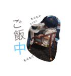 まあぁぁちゃんスタンプ。（個別スタンプ：19）