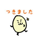シンプルまるたま（個別スタンプ：13）