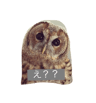 smilenico（個別スタンプ：3）