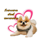 Makamyong（個別スタンプ：6）