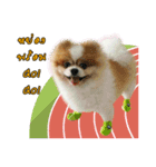 Makamyong（個別スタンプ：7）
