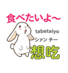 食いしん坊なウサギ 日本語台湾語（個別スタンプ：1）