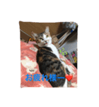 チビスタンプ NO.2（個別スタンプ：1）