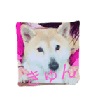 犬派（個別スタンプ：7）