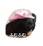 ぷっつんプリンちゃんと愉快な仲間たち（個別スタンプ：4）