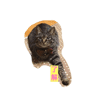 ジャックとすず太（個別スタンプ：4）