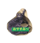 ジャックとすず太（個別スタンプ：9）