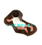 はやと→るうと→かえで（個別スタンプ：1）