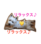ウエスティ さくももの部屋 3（個別スタンプ：11）