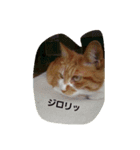 nekotonokurashi 2（個別スタンプ：4）