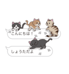 【しょうた】猫だらけの吹き出し（個別スタンプ：2）