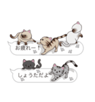 【しょうた】猫だらけの吹き出し（個別スタンプ：4）