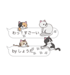 【しょうた】猫だらけの吹き出し（個別スタンプ：7）