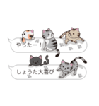 【しょうた】猫だらけの吹き出し（個別スタンプ：18）