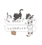 【しょうた】猫だらけの吹き出し（個別スタンプ：20）