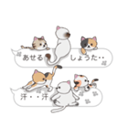 【しょうた】猫だらけの吹き出し（個別スタンプ：36）