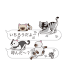 【いちろう】猫だらけの吹き出し（個別スタンプ：11）