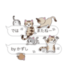 【かずし】猫だらけの吹き出し（個別スタンプ：40）