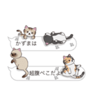 【かずま】猫だらけの吹き出し（個別スタンプ：16）