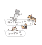 【かずや】猫だらけの吹き出し（個別スタンプ：15）