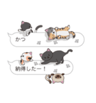 【かつ】猫だらけの吹き出し（個別スタンプ：9）