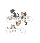 【かつ】猫だらけの吹き出し（個別スタンプ：22）