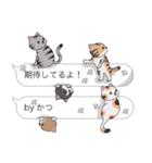 【かつ】猫だらけの吹き出し（個別スタンプ：30）