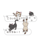 【こういち】猫だらけの吹き出し（個別スタンプ：3）