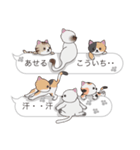 【こういち】猫だらけの吹き出し（個別スタンプ：36）