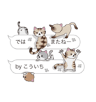 【こういち】猫だらけの吹き出し（個別スタンプ：40）