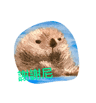 Lucky Otters（個別スタンプ：1）