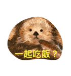 Lucky Otters（個別スタンプ：2）