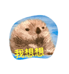 Lucky Otters（個別スタンプ：3）