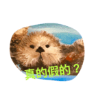 Lucky Otters（個別スタンプ：6）