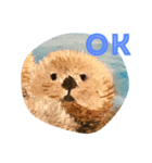 Lucky Otters（個別スタンプ：7）