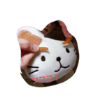 にゃんぺいの日常（個別スタンプ：5）