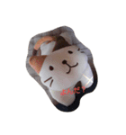 にゃんぺいの日常（個別スタンプ：8）