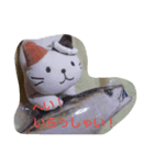 にゃんぺいの日常（個別スタンプ：9）
