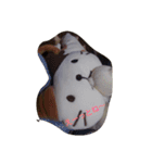にゃんぺいの日常（個別スタンプ：10）