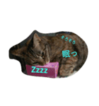 もいにゃですぅ（個別スタンプ：2）