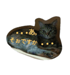 もいにゃですぅ（個別スタンプ：4）