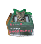 もいにゃですぅ（個別スタンプ：5）