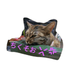 もいにゃですぅ（個別スタンプ：8）