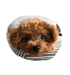 C-UTE  ROCON（個別スタンプ：3）