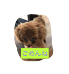 C-UTE  ROCON（個別スタンプ：6）