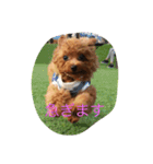 C-UTE  ROCON（個別スタンプ：8）