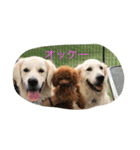 C-UTE  ROCON（個別スタンプ：9）