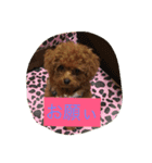 C-UTE  ROCON（個別スタンプ：11）