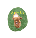 C-UTE  ROCON（個別スタンプ：13）
