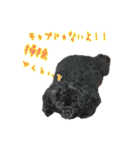 wnp わんわん2（個別スタンプ：7）